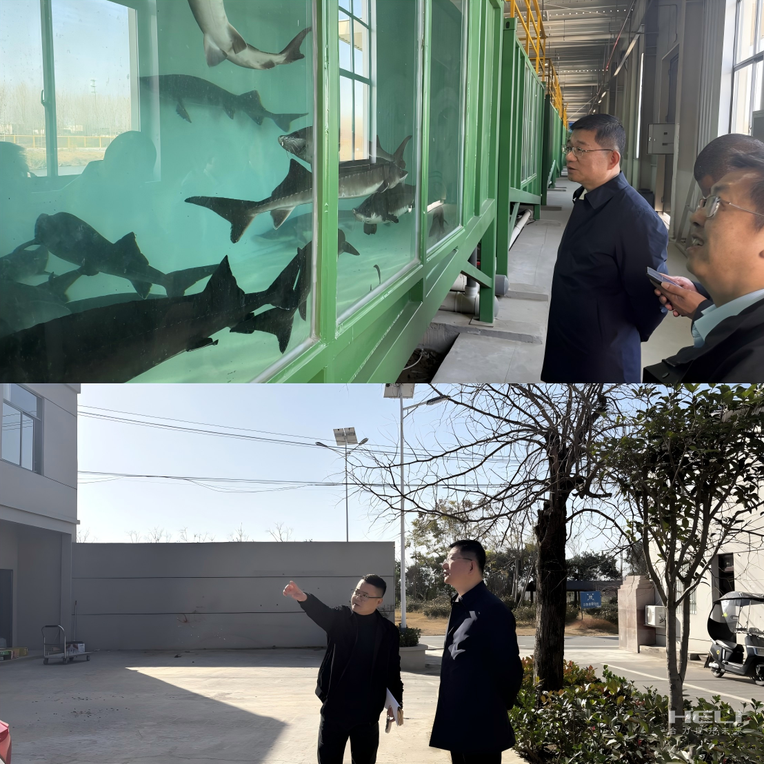 調研“智慧漁場”及社區(qū)集體經(jīng)濟發(fā)展.png
